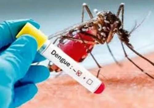 Confirman segundo caso de Dengue Autóctono en nuestro país