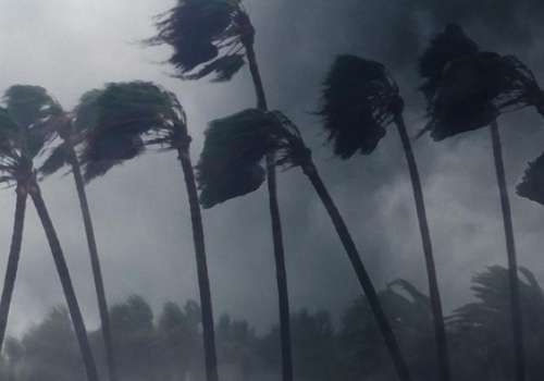 Alerta amarilla por vientos fuertes y persistentes en el sur…