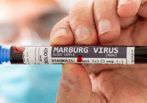 Se confirman primeros casos del virus de Marburgo