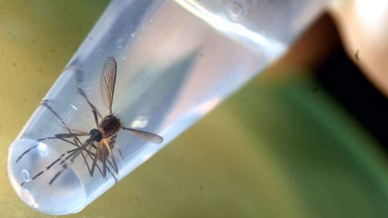 SINAE distribuye productos químicos para combatir proliferación de mosquitos