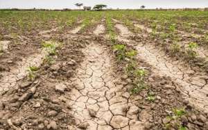 Habrá un Congreso Nacional de Meteorología ante sequía prolongada