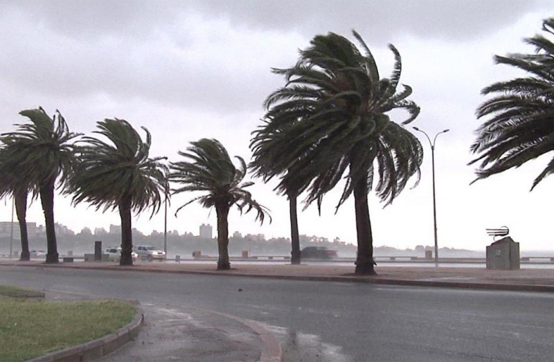 Alerta amarilla por vientos fuertes en 10 departamentos y tormentas en Artigas
