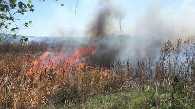 Sofocan incendio en Pinar Norte