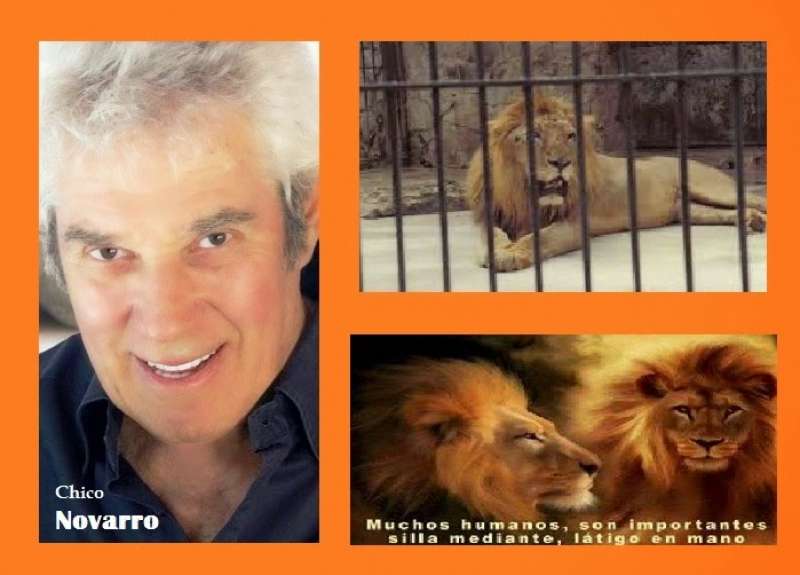 Chico Novarro - Carta de un león a otro