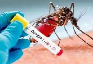Confirman segundo caso de Dengue Autóctono en nuestro país