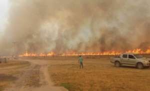 Incendios en campos y bosques de Corrientes