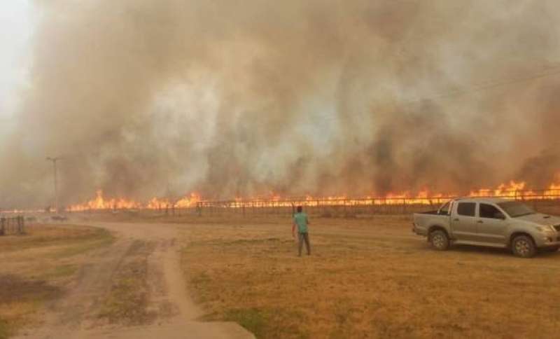 Incendios en campos y bosques de Corrientes