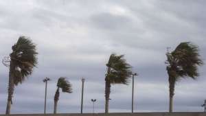 Alerta amarilla por vientos fuertes y persistentes en el sur del país