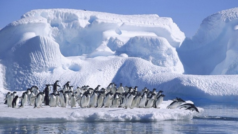 Se acelera el calentamiento del Polo Sur